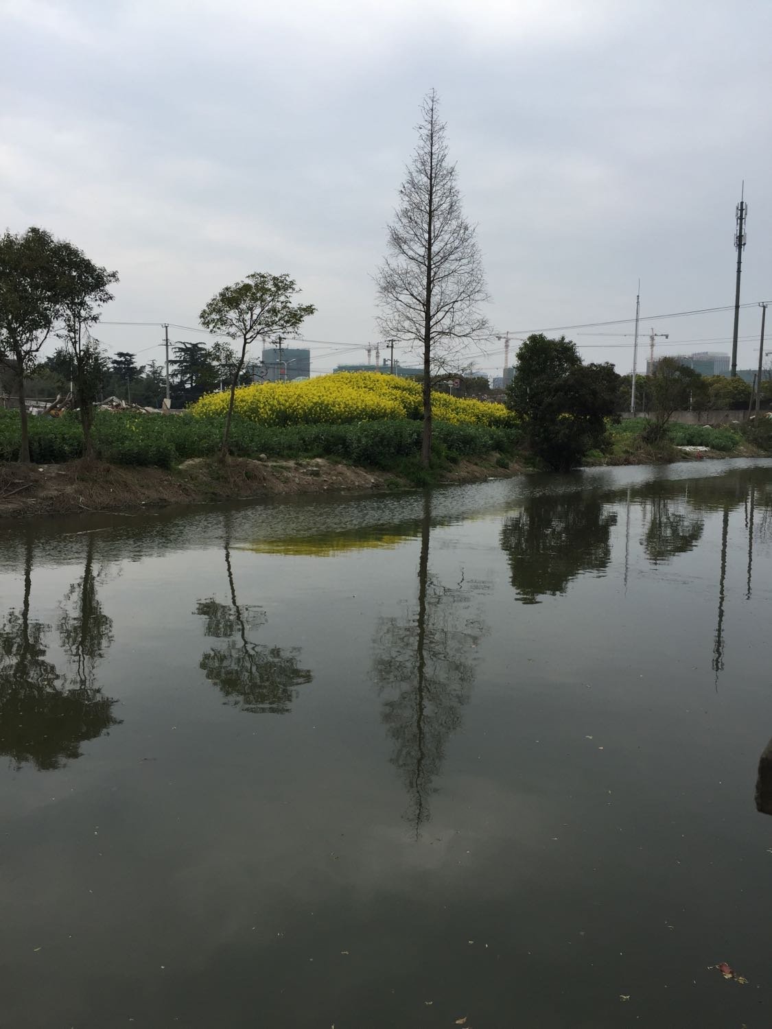 南桥镇天气预报更新通知