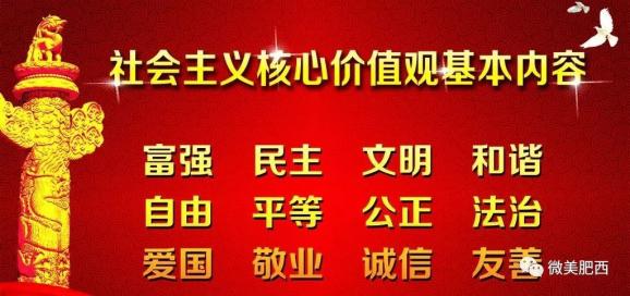 刘解掌村委会最新招聘信息全面解析