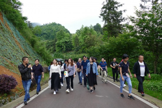 田家坝村委会最新动态报道