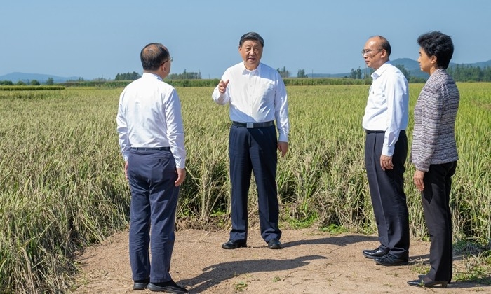 老街基乡领导团队引领乡村新篇章开启