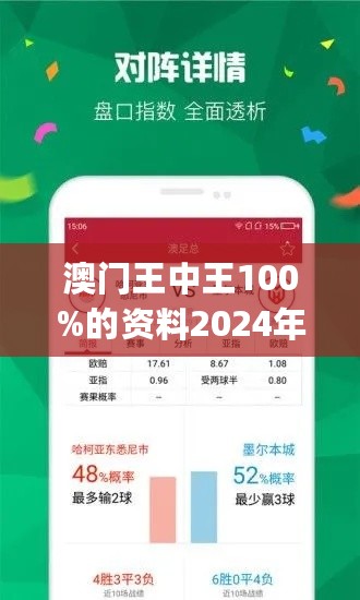 2024年新澳门王中王惠译王中王|高效解答解释定义_5DM10.813