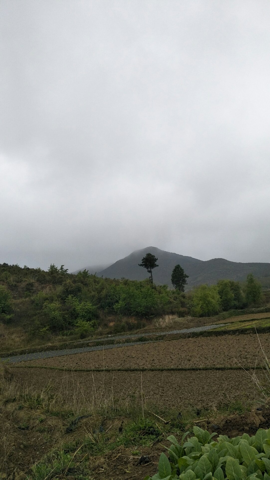 马头川村民委员会最新天气预报