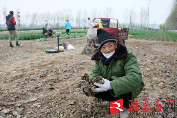 驿城区特殊教育事业单位等最新招聘信息