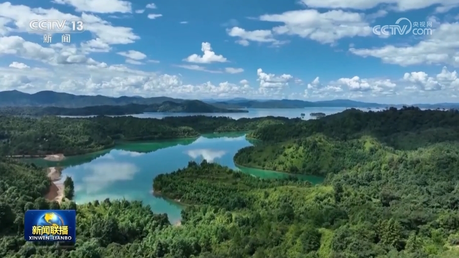 洛浦寺林场最新交通新闻