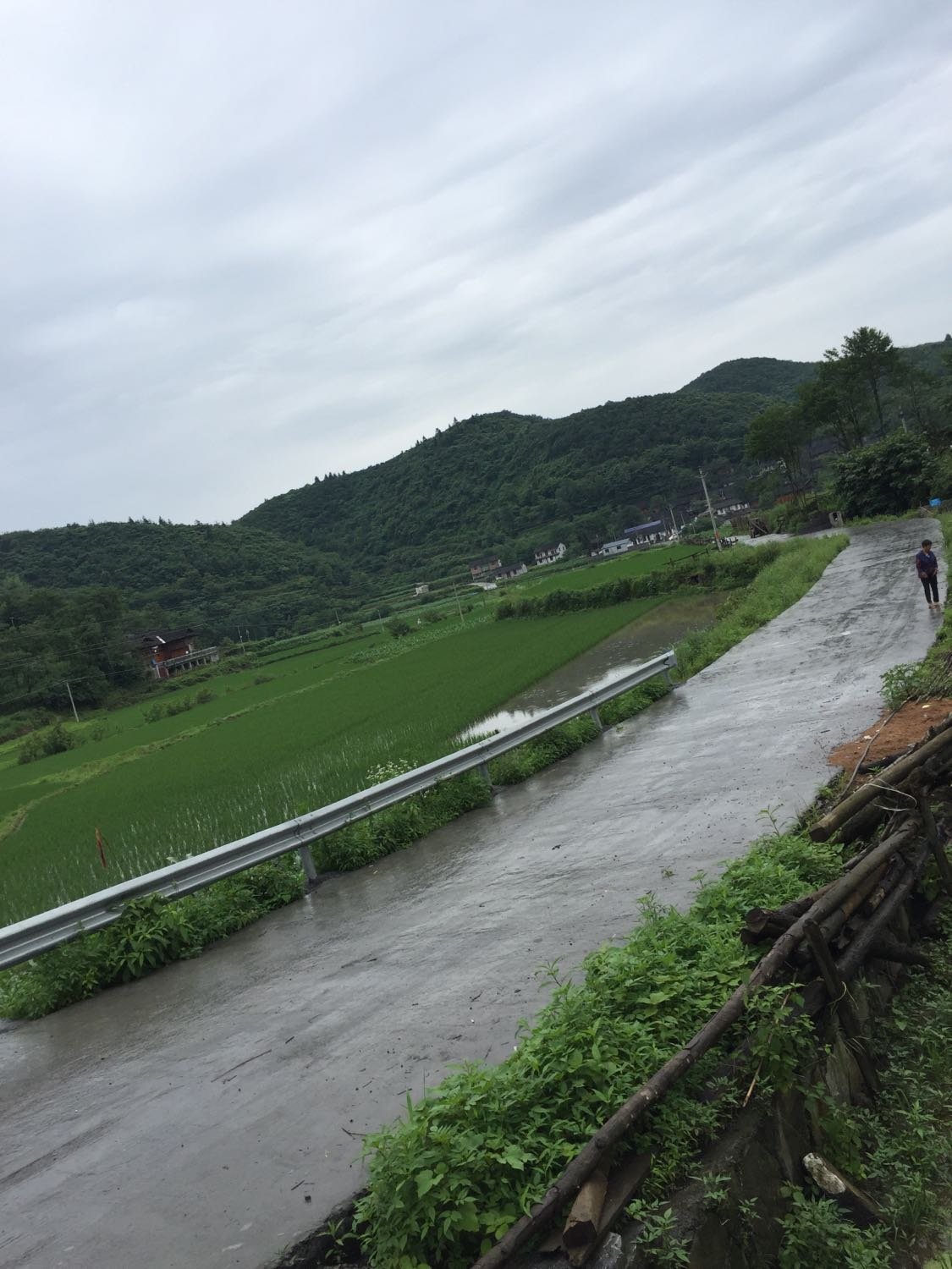 清水村最新天气预报