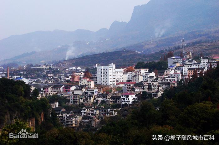 永顺县统计局最新发展规划