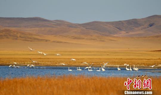 贺斯格乌拉农牧场最新天气预报