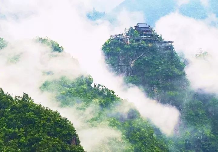 陈靳乡最新天气预报