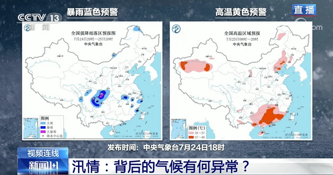 我家很多猫 第2页