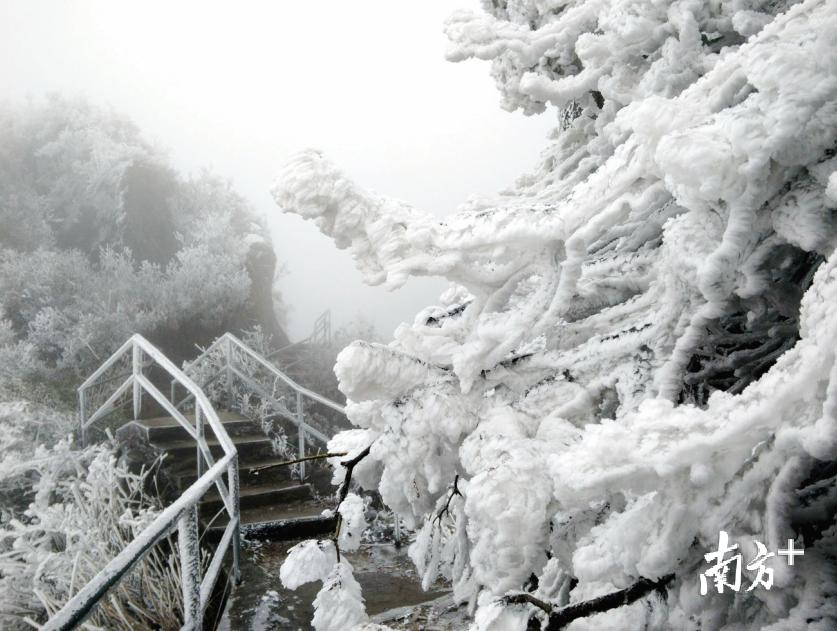 山坡村民委员会最新天气预报