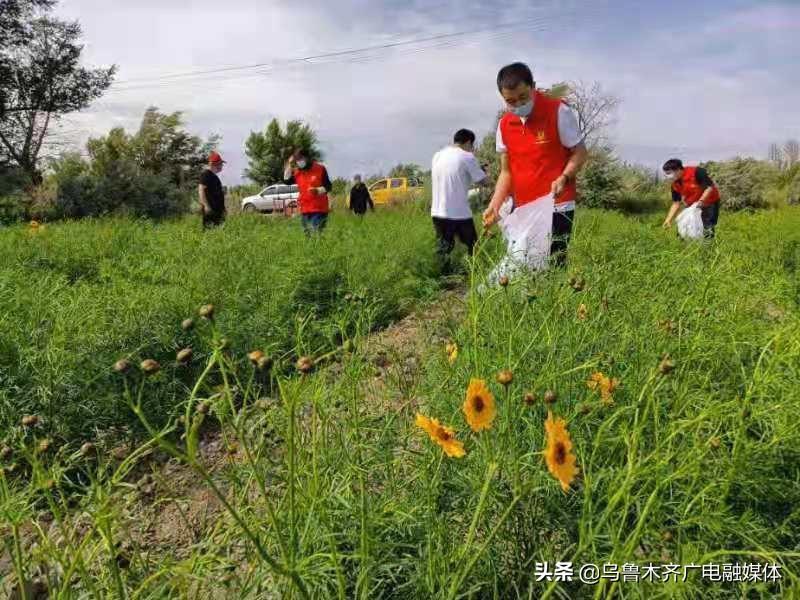 达坂城区特殊教育事业单位等最新招聘信息