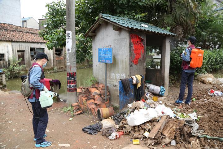 清湖镇最新领导