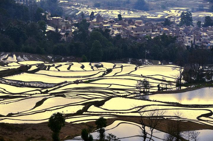 柳井彝族乡最新天气预报