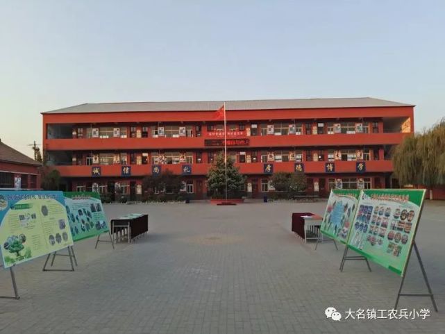 大名县小学最新招聘信息