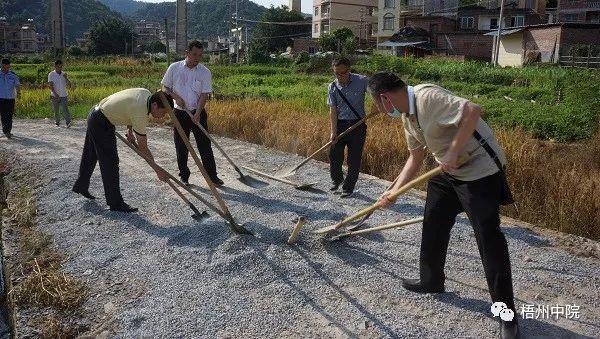 龙洞村最新领导