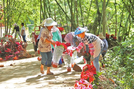 双江拉祜族佤族布朗族傣族自治县文化广电体育和旅游局最新招聘信息