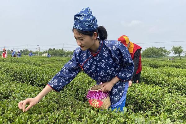 黄花塘镇最新新闻