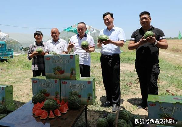 漂河铺乡最新领导