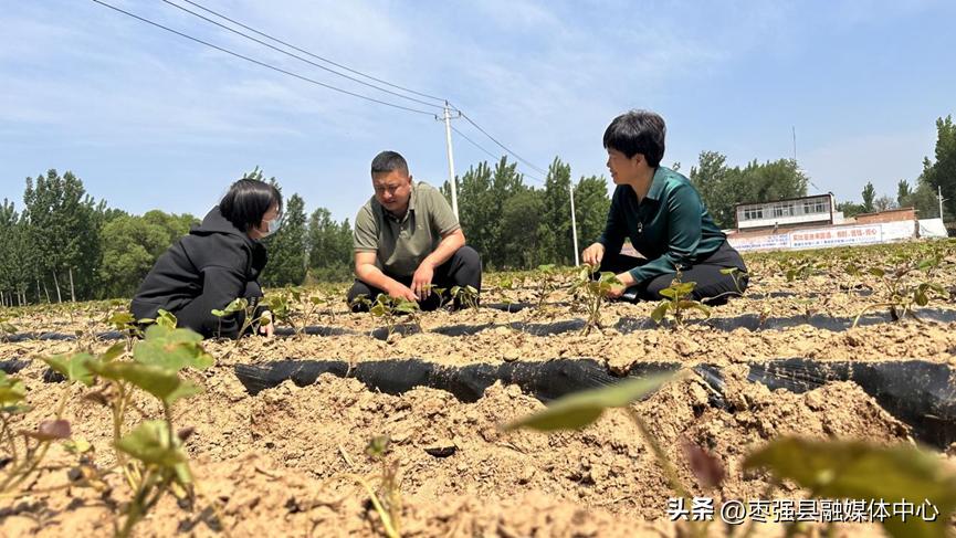 枣强县住房和城乡建设局最新领导