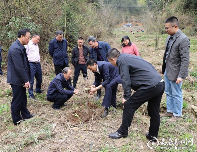 娄底市市农业局最新新闻