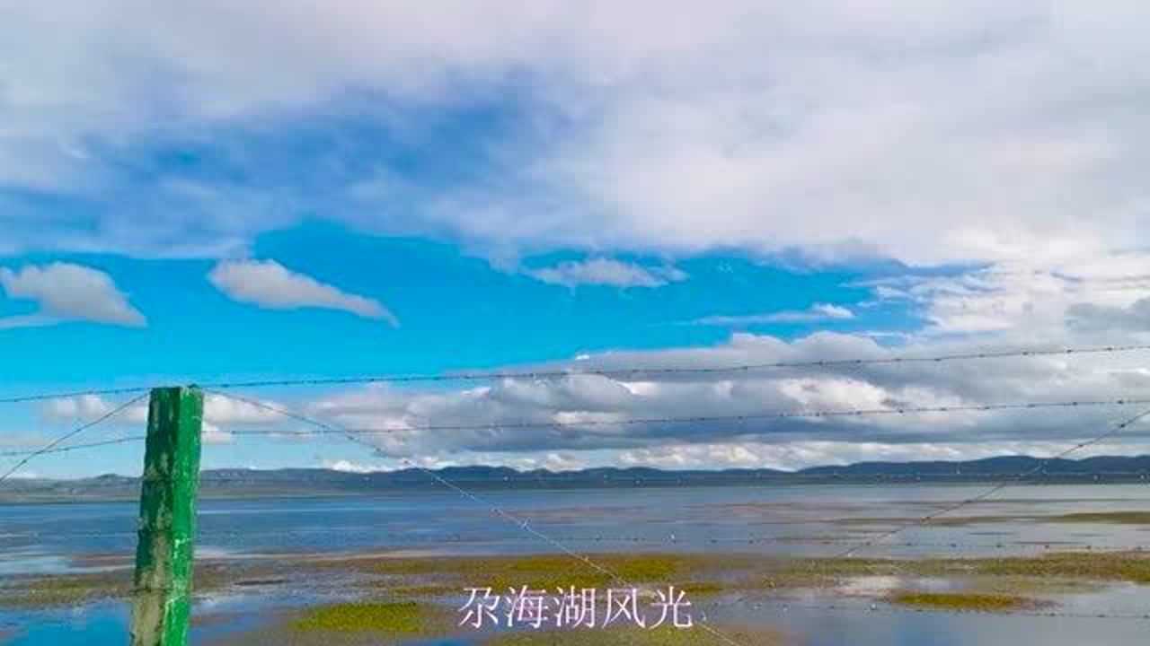 尕海乡最新天气预报